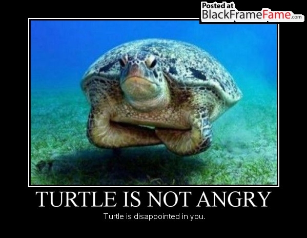 disappointed turtle meme